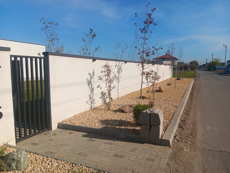 Domnesti, strada Fortului,